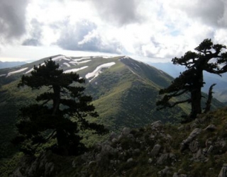  En El Pollino Caminando